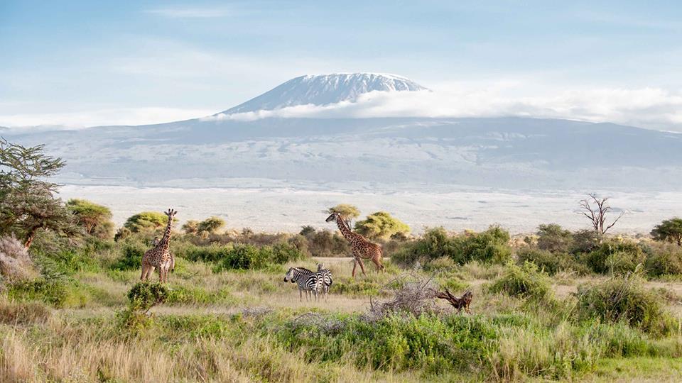 We4Kenya Guesthouses Amboseli Exterior foto