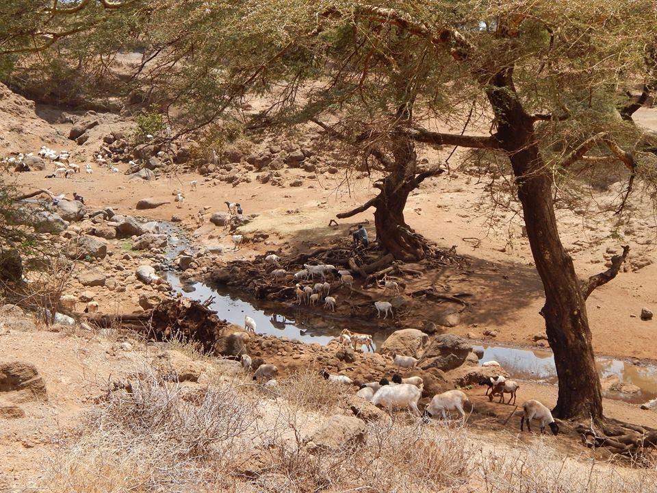 We4Kenya Guesthouses Amboseli Exterior foto