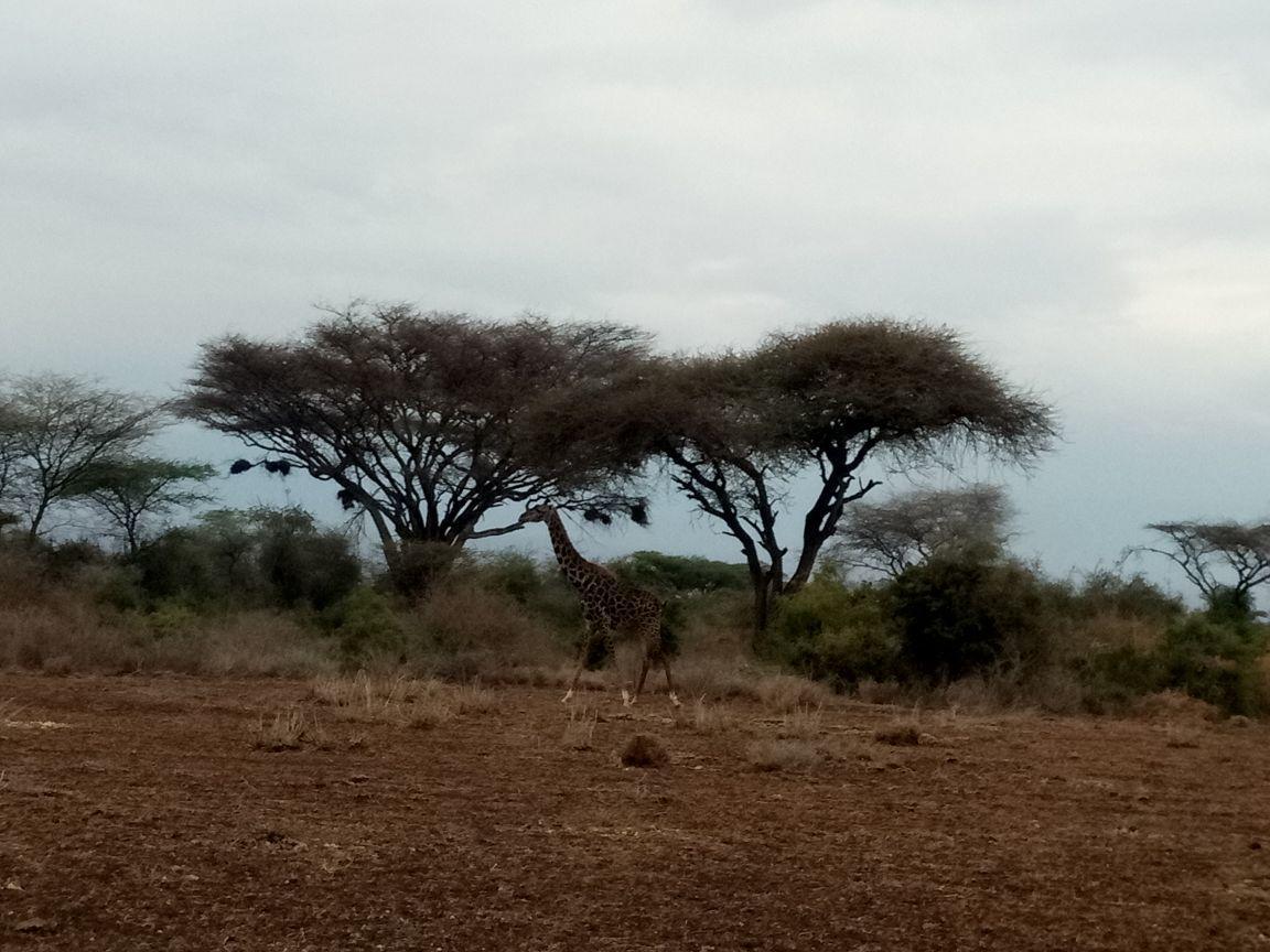 We4Kenya Guesthouses Amboseli Exterior foto