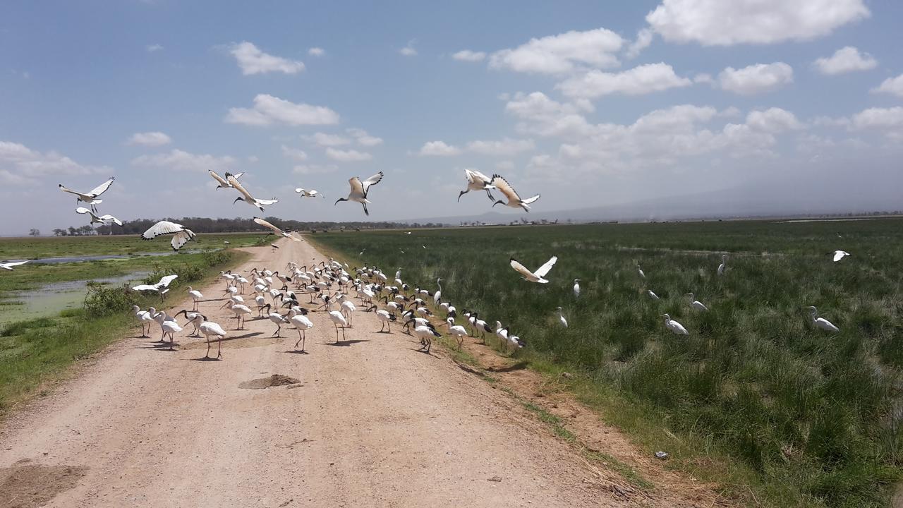 We4Kenya Guesthouses Amboseli Exterior foto