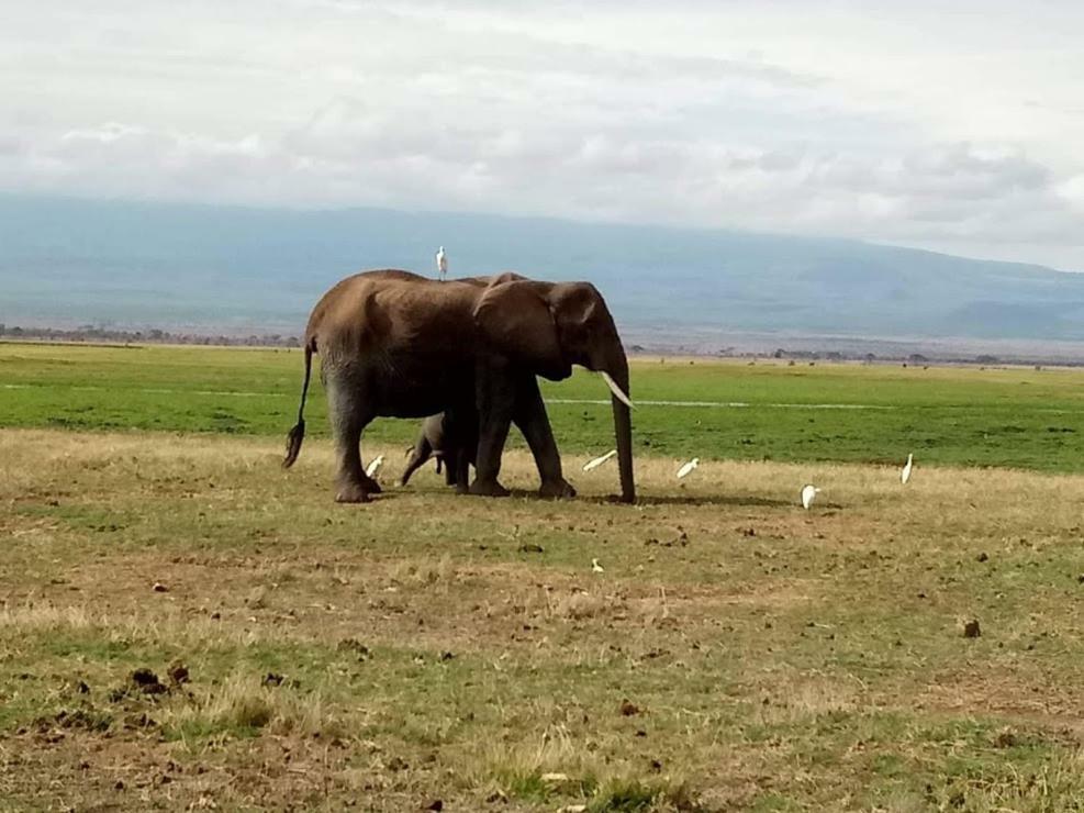 We4Kenya Guesthouses Amboseli Exterior foto